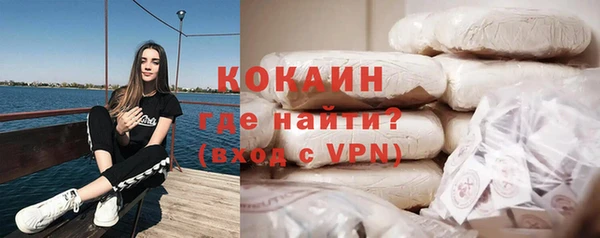 гидра Новодвинск