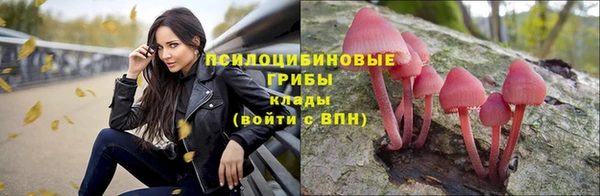 гидра Новодвинск
