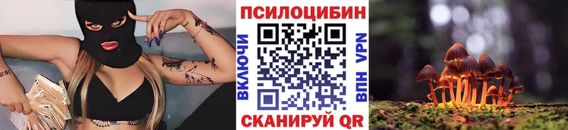 сколько стоит  Дмитровск  Псилоцибиновые грибы Psilocybine cubensis 